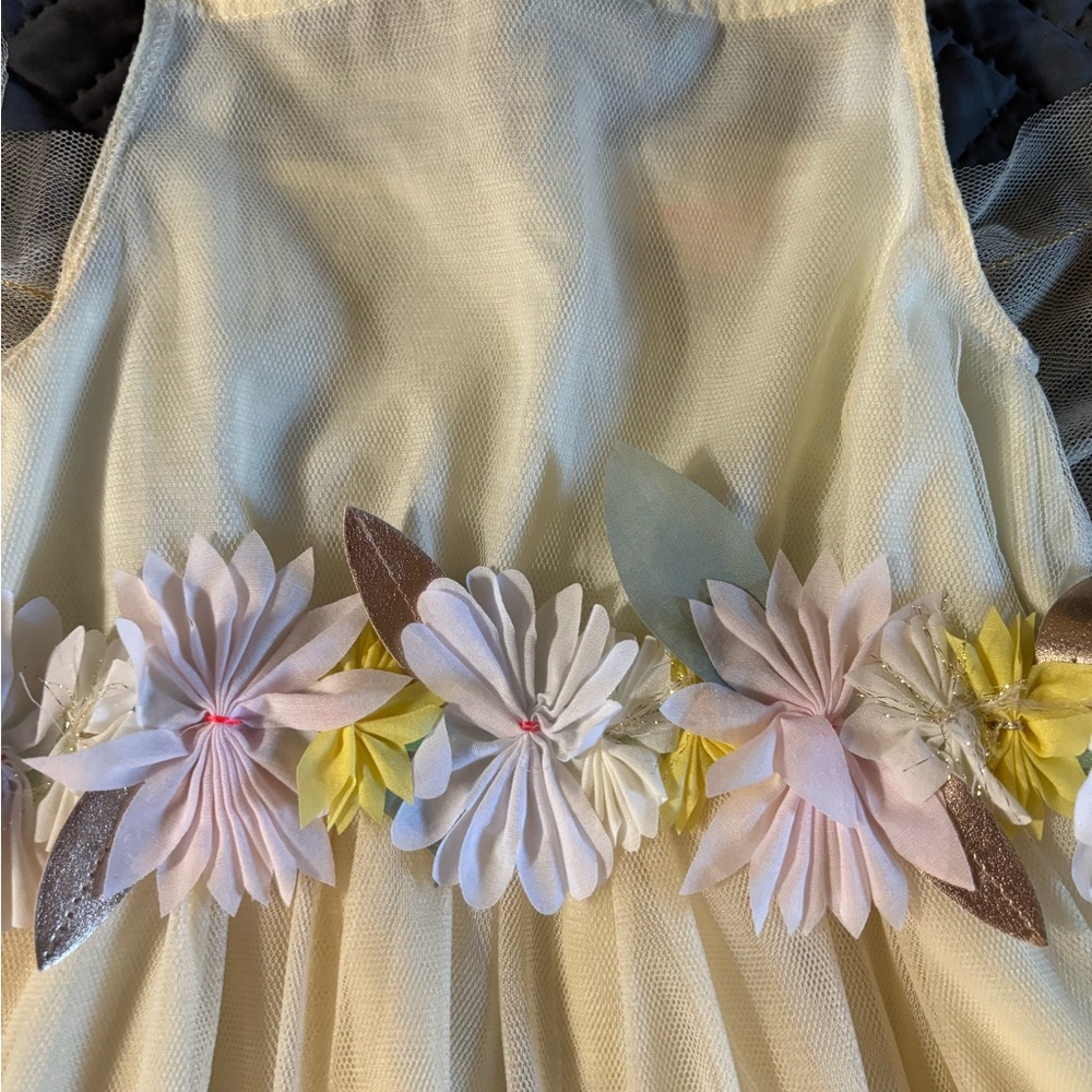 Girl dress with wings